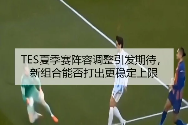 TES夏季赛阵容调整引发期待，新组合能否打出更稳定上限